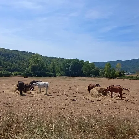 Le Corti Apartamento Moriano (Tuscany)